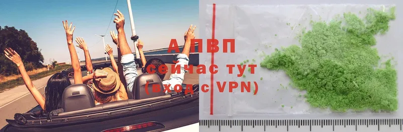 закладка  Безенчук  A PVP СК 